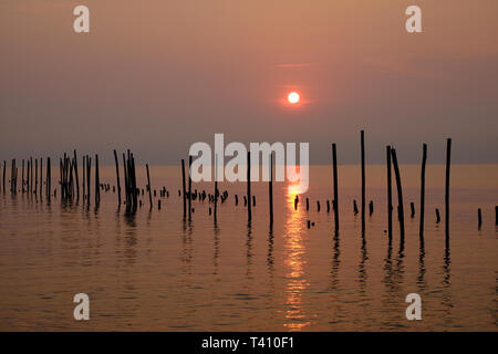 I pali di legno che sono state allineate in una fila in mare. Appare come un riflesso sulla superficie dell'acqua durante il sorgere del sole su un nuovo mattino. Foto Stock