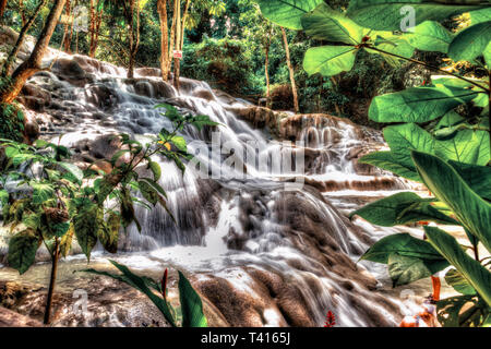 Cascate del Fiume Dunn in Giamaica Foto Stock