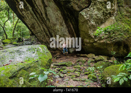 Rock carving / Petroglyph 'La Piedra Pintada' in El Valle de Anton-Panama Foto Stock