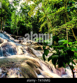 Cascate del Fiume Dunn in Giamaica Foto Stock