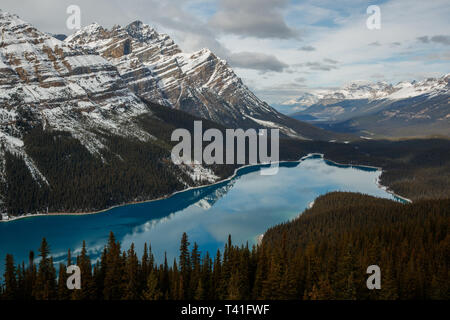 Il Lago Peyto nel Parco Nazionale di Banff Foto Stock