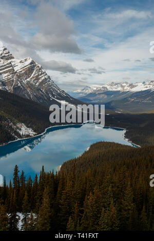 Il Lago Peyto nel Parco Nazionale di Banff Foto Stock