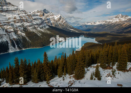 Il Lago Peyto nel Parco Nazionale di Banff Foto Stock