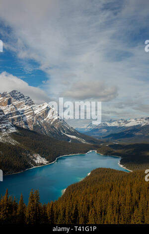 Il Lago Peyto nel Parco Nazionale di Banff Foto Stock