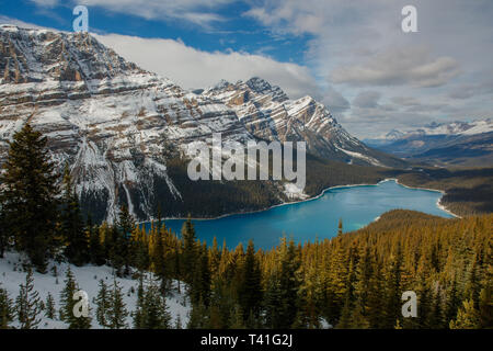 Il Lago Peyto nel Parco Nazionale di Banff Foto Stock