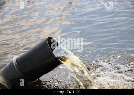 Acqua tubo di pompaggio in un fossato tra campi pieni di tulipani a Noordwijkerhout Foto Stock