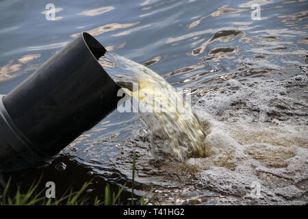 Acqua tubo di pompaggio in un fossato tra campi pieni di tulipani a Noordwijkerhout Foto Stock