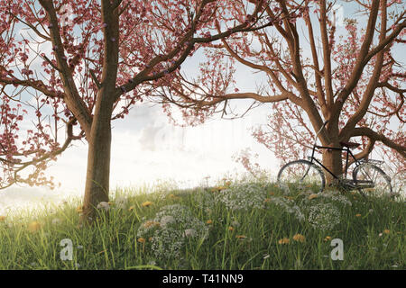 3D rendering di appoggiò bicicletta nero a ciliegia giapponese albero nel prato di gras paesaggio di sera la luce solare Foto Stock