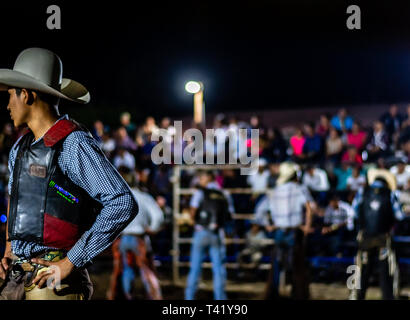 Latin bull riders getting chiamato fuori prima di equitazione in rodeo guatemalteca Foto Stock
