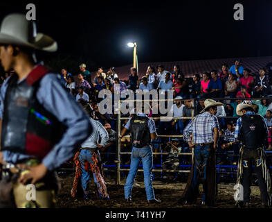 Latin bull riders getting chiamato fuori prima di equitazione in rodeo guatemalteca Foto Stock