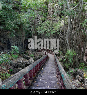 Phnom Sampeau, Battambang, Cambogia. Pellegrino la scalinata che conduce al mondo perduto di Phnom Sampeau Gorge. 07-12-2018. Foto Stock