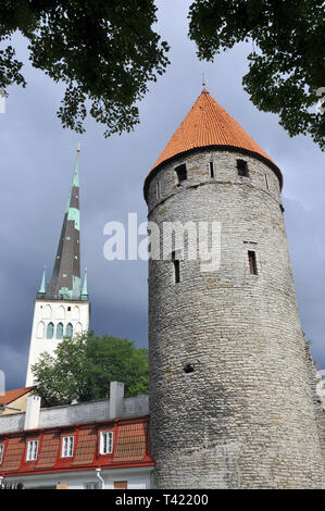 Il bastione di Tallinn, Estonia. Un városfal bástyája, Tallinn, Észtország. Foto Stock