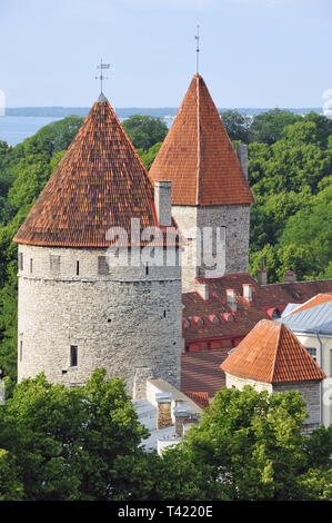 Il bastione di Tallinn, Estonia. Un városfal bástyája, Tallinn, Észtország. Foto Stock