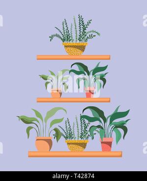 Set di houseplants in scaffali ad Illustrazione Vettoriale