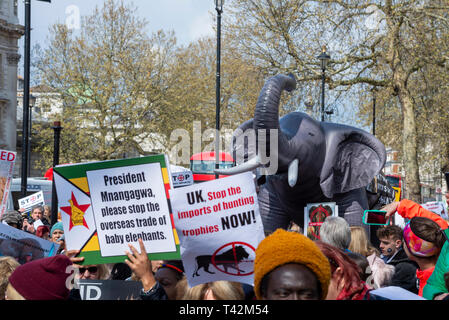 Marcia di protesta che si svolgerà a Londra la dimostrazione contro la minaccia di estinzione di fauna e flora selvatiche e evidenziando l'atto del trofeo di caccia in particolare di elefanti e rinoceronti. Essa è parte della quinta marcia globale per gli elefanti e rinoceronti e è temporizzato a prendere posto prima di una conferenza in Sri Lanka chiamando per uplist elefanti di Appendice I Foto Stock