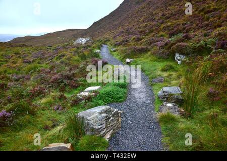 Uno stretto sentiero che conduce attraverso il Parco Nazionale del Connemara in Irlanda. Il tempo è piovoso. Erba e piante su entrambi i lati. Foto Stock