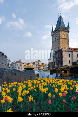 PRAGUE, Repubblica Ceca - 10 APRILE 2019: l'Orologio Astronomico di Praga dietro il Jan Hus monumento circondato da narcisi nel mezzo della molla Foto Stock