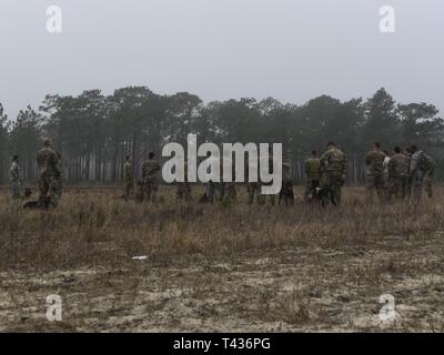 Militari di cane da lavoro squadre provenienti da tutta la forza aerea partecipare alla seconda annua improvvisato dispositivo esplosivo consapevolezza formazione evento con l'eliminazione degli ordigni esplosivi i tecnici sul campo Hurlburt, Florida, il 20 febbraio, 2019. Conduzione di hands-on, basate su uno scenario di formazione IED di EOD ha aiutato il personale dei gestori di MWD acquisire una nuova prospettiva mentre la formazione in simulato un ambiente di distribuzione. Foto Stock