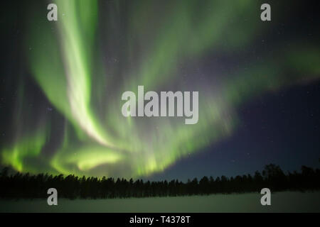 Luci del nord nel nord della Finlandia Foto Stock