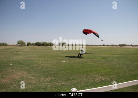 Terre paracadutista paracadute sull'erba Zona di sbarco dopo lo sport skydive il salto. Gli sport estremi del concetto. Parachutist gliding parachute in tutta la zona di sbarco. Foto Stock