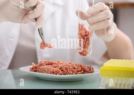 Controllo della qualità alimentare esperto controllo a campione di carne in laboratorio Foto Stock