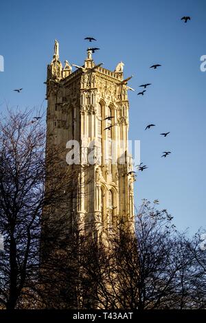 Uccelli in volo da Saint Jacques torre a Parigi Foto Stock