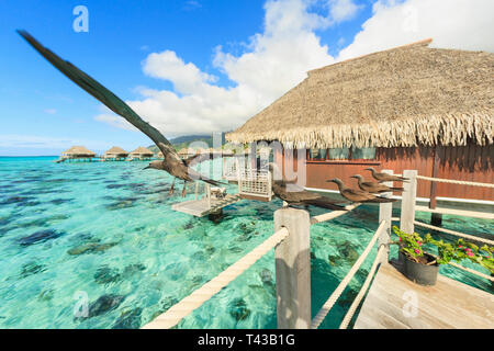 Gli uccelli appollaiato sulla ringhiera di bungalow, Bora Bora, Polinesia Francese Foto Stock