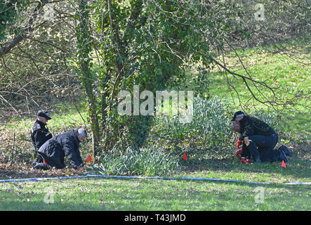 La ricerca di polizia Ystrad Mynach Park nel Galles del Sud dove un 13-anno-vecchio ragazzo morto dopo essere stato trovato in stato di incoscienza il venerdì sera. Foto Stock