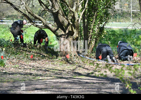 La ricerca di polizia Ystrad Mynach Park nel Galles del Sud dove un 13-anno-vecchio ragazzo morto dopo essere stato trovato in stato di incoscienza il venerdì sera. Foto Stock