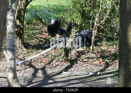 La ricerca di polizia Ystrad Mynach Park nel Galles del Sud dove un 13-anno-vecchio ragazzo morto dopo essere stato trovato in stato di incoscienza il venerdì sera. Foto Stock