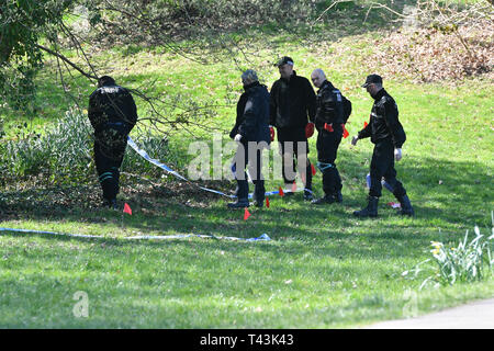 La ricerca di polizia Ystrad Mynach Park nel Galles del Sud dove un 13-anno-vecchio ragazzo morto dopo essere stato trovato in stato di incoscienza il venerdì sera. Foto Stock