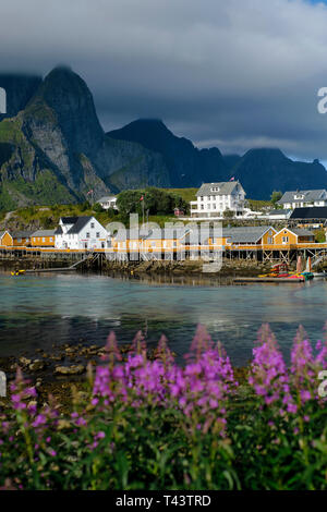 Sakrisøy Sakrisøya ( ) è una piccola isola e un villaggio di pescatori tra Reine e Hamnøy nel comune di Moskenes a Lofoten Nordland in Norvegia Foto Stock