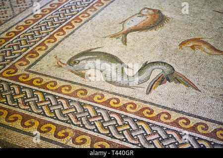 I mosaici romani - Close up di un delfino dal mosaico di Poseidon . Zeugma mosaico, Museo di Gaziantep. Foto Stock