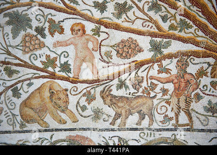 Dettaglio di un mosaico romano raffigurante design Silenus e amorini che mostra Pan e una capra e un amorino nelle vigne, dalla casa di Sienus, antico romano Foto Stock