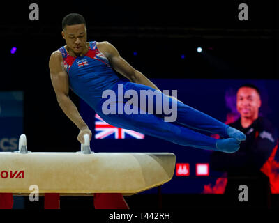 Birmingham, Inghilterra, Regno Unito. 23 marzo, 2019. La Gran Bretagna è Joe Fraser in azione durante gli uomini cavallo concorrenza, durante il 2019 Ginnastica Wo Foto Stock