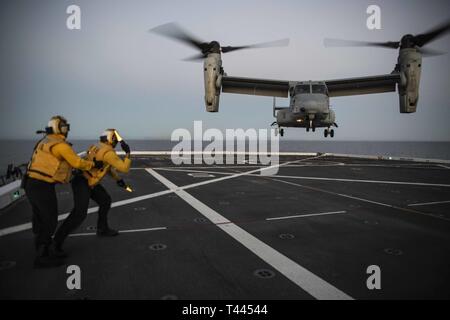 Oceano Pacifico (16 marzo 2019) - Aviazione di Boatswain Mate (manipolazione) Airman Brian Bickmeier dirige lo sbarco di una MV-22B Osprey dal mezzo marino Tiltrotor Squadron 164 sul ponte di volo della USS New Orleans (LPD 18) durante l'esercizio pacifico Blitz 19. Pacific Blitz è uno scenario-driven esercizio congiunto che fornisce corsi di formazione pertinenti dalla replica di una realistica minaccia marittima ambiente concepito per stimolare e migliorare la capacità anfibie necessaria per una effettiva crisi globale risposta. Foto Stock