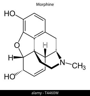 Formula dello scheletro della morfina. molecola chimica Illustrazione Vettoriale