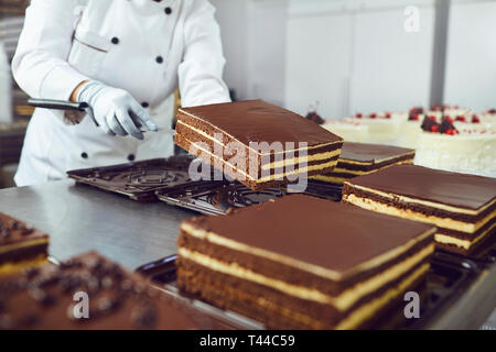 Le mani di un pasticcere pack una torta al cioccolato in pasticceria. Foto Stock