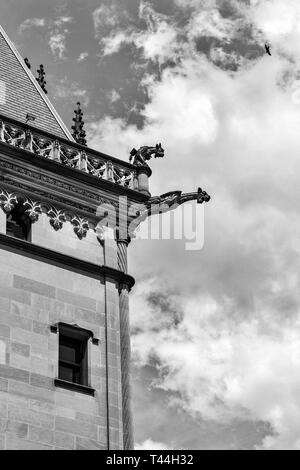 Due doccioni sembrano urlare nel vuoto, come un uccello vola overhead, al Biltmore Estate in Asheville, NC, Stati Uniti d'America Foto Stock