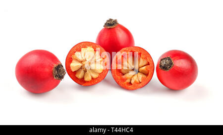 Cinorrodi ( Rosa Canina frutti), uno tagliato a metà isolato su sfondo bianco. Foto Stock