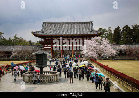 NARA, Giappone - 02 Aprile 2019: Numerosi turisti visita del Tempio di Todai-ji di Nara, Giappone Foto Stock