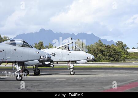 A-10 Thunderbolt II attacco aeromobile assegnati alla 442d Fighter Wing sedersi sulla rampa di Febbraio 21, 2019, al Marine Corps base Hawaii. La 442d svolte esercitazioni congiunte con gli Stati Uniti Marines, prova le loro capacità al fianco di MV-22 Osprey tiltrotor aeromobili. Foto Stock