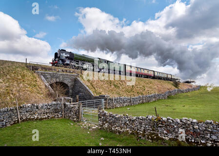 Settle, North Yorkshire, Regno Unito, 13 aprile 2019. Il 'Tornado' locomotiva a vapore cale "Confine Raider " Treno speciale sull'accontentarsi di Carlisle linea ferroviaria. Visto qui a Selside, vicino a Settle, nel Yorkshire Dales National Park. Il vapore corse speciali da Crewe a Carlisle e ritorno. Foto Stock