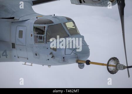 Naval aviatori con Marine mezzo squadrone Tiltrotor 262 (rinforzato) posizione di un MV-22B Osprey tiltrotor aeromobili antenna durante il rifornimento di carburante con una KC-130J Super Ercole da antenna Marine Refueler squadrone di trasporto (VMGR) 152 al largo delle coste del Giappone, 28 febbraio, 2019. Stati Uniti Marines con VMGR-152 forniscono una vasta gamma di funzionalità in tutta l'area INDOPACOM di antenna includono il rifornimento di carburante e del personale e il trasporto e la consegna dell'antenna. Foto Stock