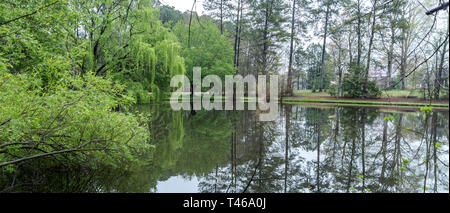 Lussureggianti alberi verdi e riflessione sul laghetto di prima mattina Foto Stock