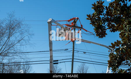 Gli uomini nella benna estesa su cherry raccoglitori di riparazione dei cavi elettrici Foto Stock