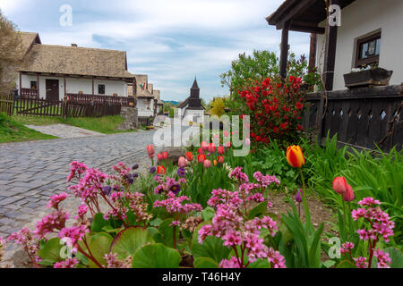 Piccolo villaggio Holloko in Ungheria famosa per la festa di Pasqua e il suo tradizionale vecchio case ungherese Unesco patrimonio mondiale Primavera tempo con fiore Foto Stock