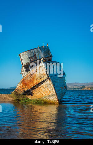 Point Reyes Shipwreck Inverness California USA Foto Stock