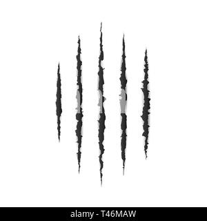 Strappato il bordo della carta. Scary leceration la superficie della carta. Animale selvaggio artigli graffiare la texture. Danneggiare da ganasce portano o tiger. Isolato illustrazione vettoriale Illustrazione Vettoriale