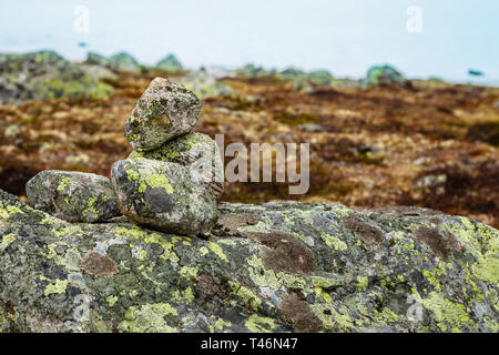 Noth Norvegia montagna d'estate nuvoloso tundra scena. Massi di pietre coperte di muschio. Foto Stock